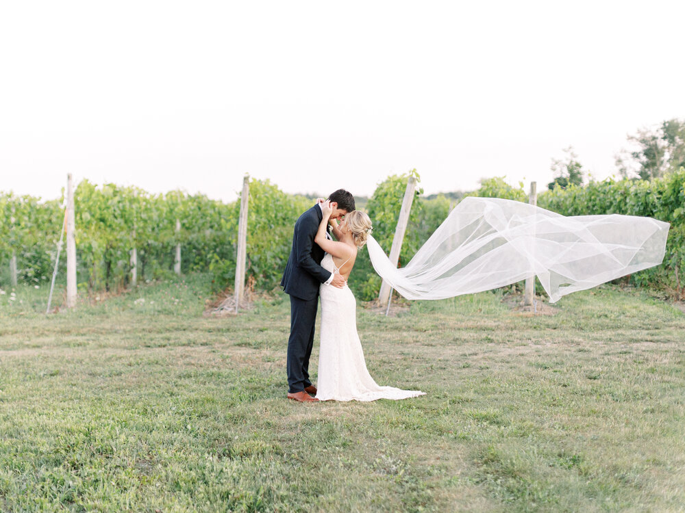 a groom kisses his bride in a vinyard at a Michigan wedding venue