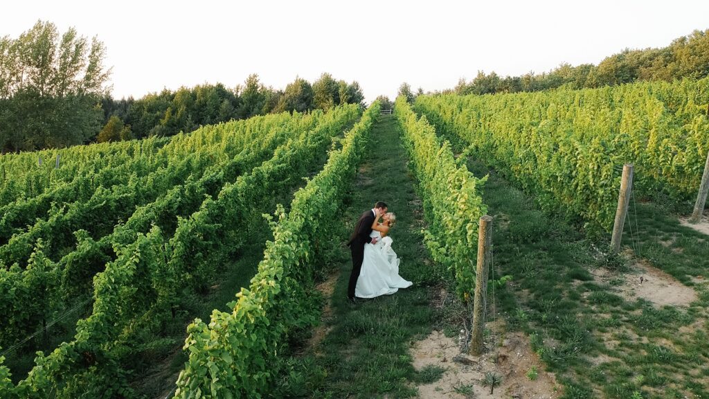 Summer Wedding at Verterra Winery